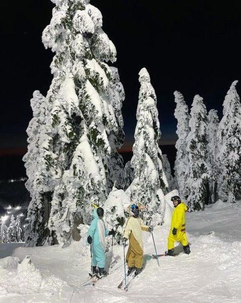Animals kigurumi skiing with friends