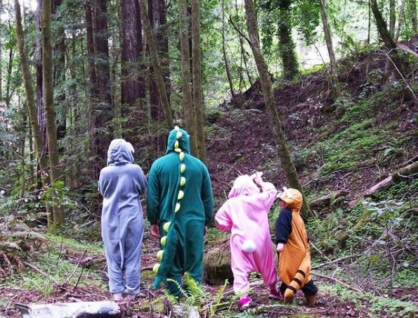 mouse dinosaur rabbit red panda kigurumi onesie forest