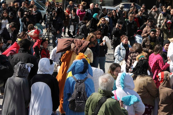 animal kigurumi standing in the crowd