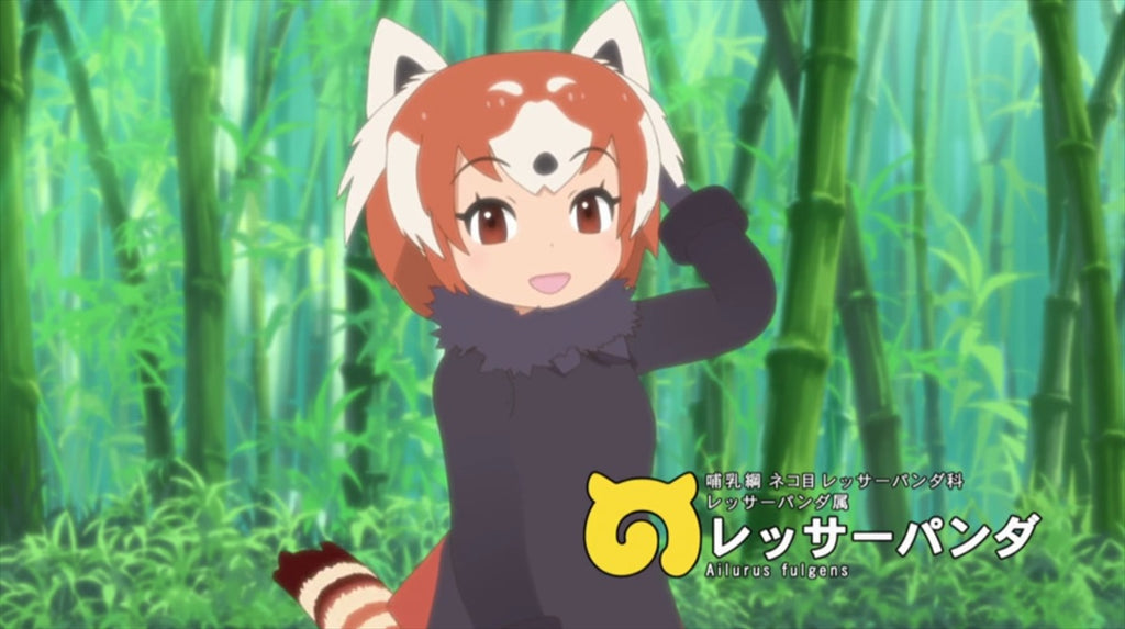 red panda kigurumi in kemono friends episode