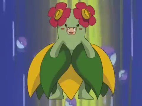 pokemon kigurumi showing his outfit