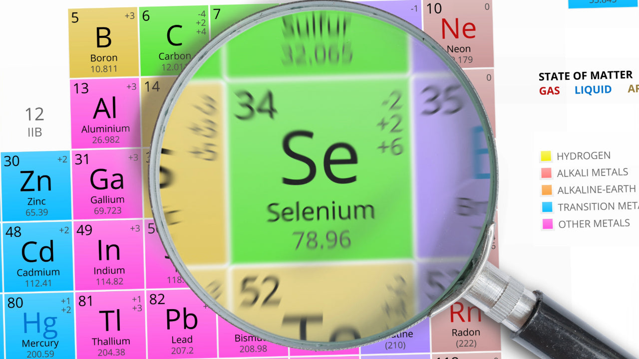 Why take a selenium supplement? Periodic table with SE for selenium magnified with magnifying glass