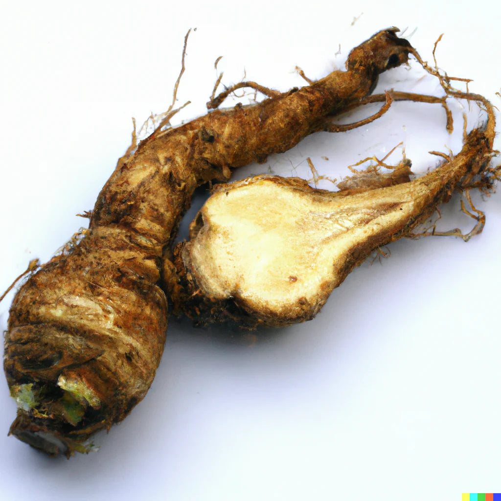 An image of raw chicory root with one root cut in half lengthwise to expose its light-colored interior