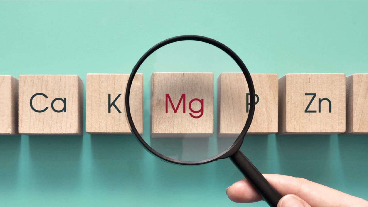 Chemical symbol Mg on a wooden cube