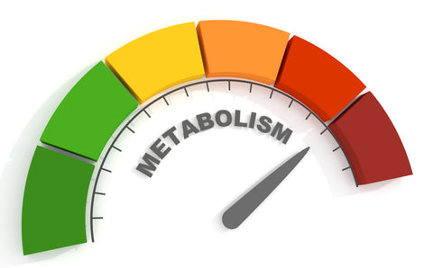 A green to red scale for metabolism with the needle at red, indicating bad metabolism.