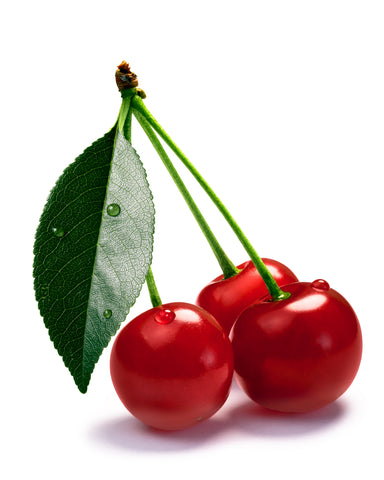 a natural source of melatonin, montmorency tart cherry, on a white background