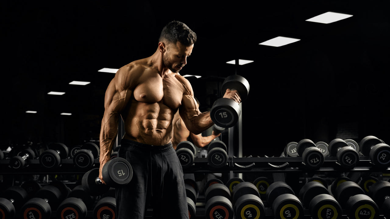 Man with muscular torso lifting weights in a gym.