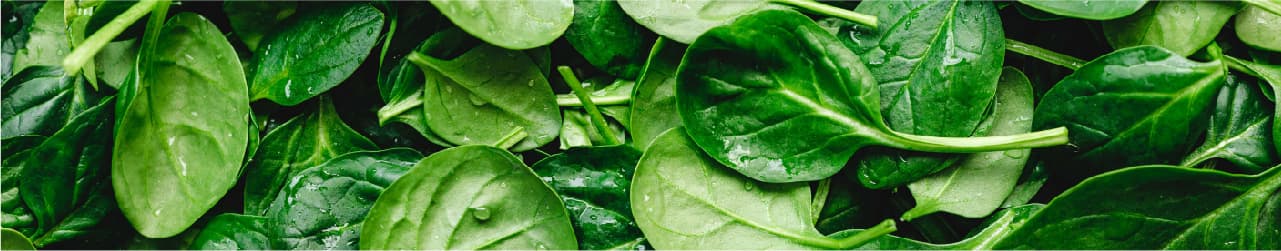 Spinach (Cooked): 1 cup (180 grams) - 0.4 mg - 31% RDA