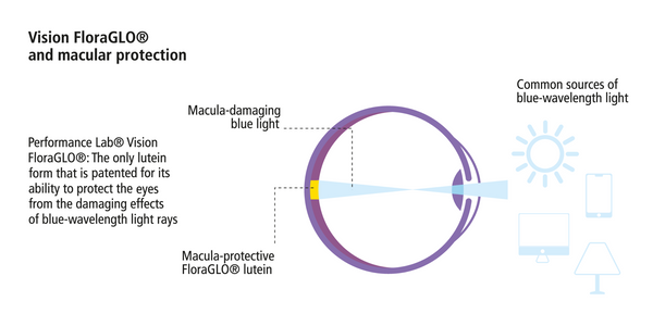 Vision FloraGlo and macular protection via lutein support eye health for healthy vision against blue wavelength light