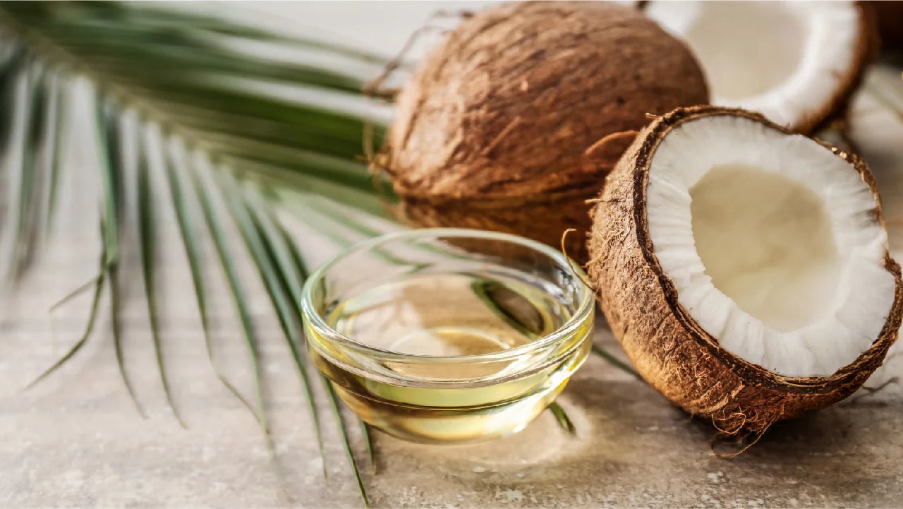 Medium-chain triglyceride (MCT) oil in a small glass bowl. Next to it is a a whole coconut, a halved coconut, and a palm frond. MCTs are healthy fats.