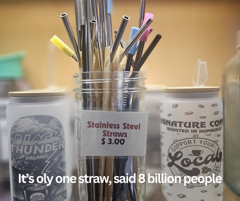 A photo of reusable straws for sale with the caption "It's onlt one straw" said 8 billion people.