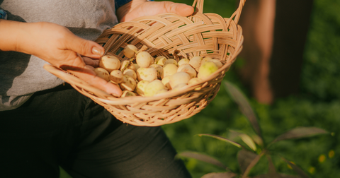 lansones in a basket