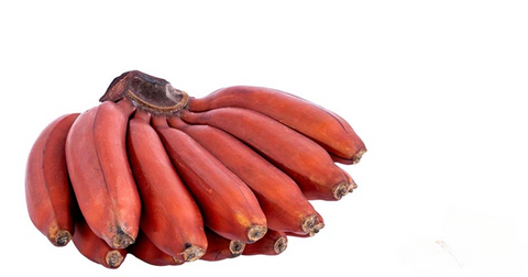 morado bananas