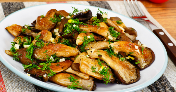 sauted oyster mushroom served on a plate