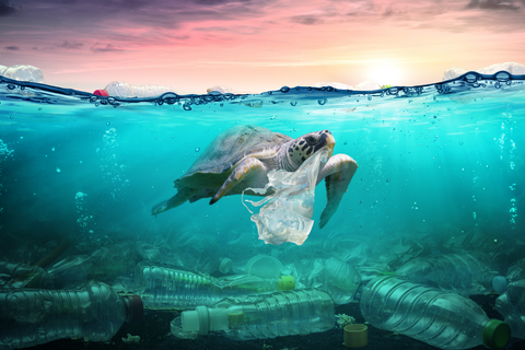 sea turtle drowning in plastic ocean