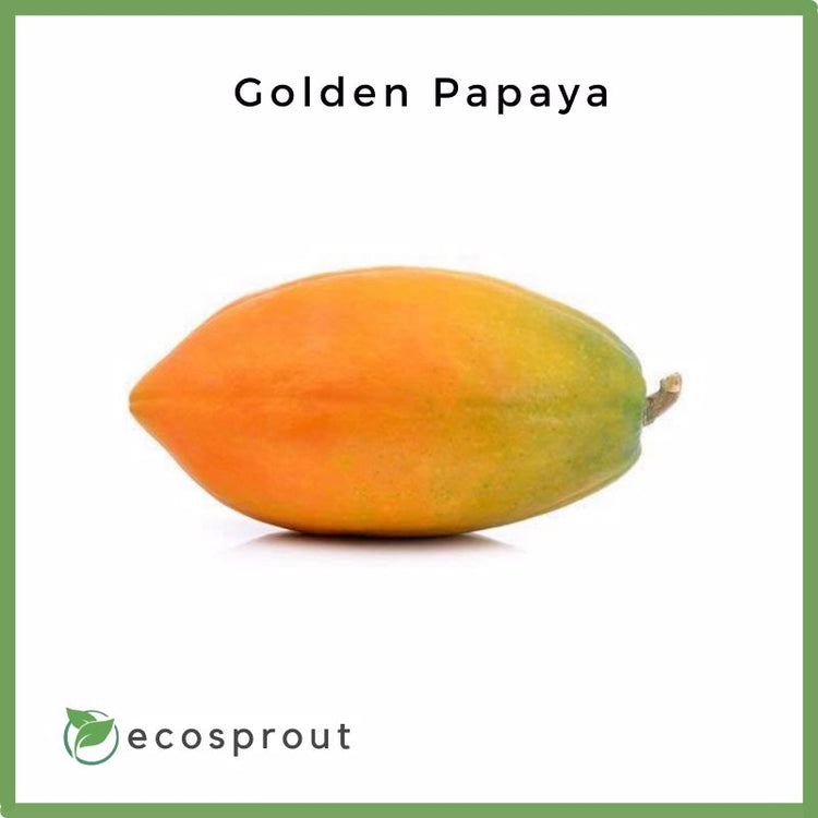 papaya fruit near me