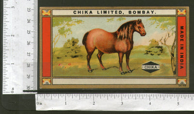 India Horse Vintage Trade Textile Chika Mill Label Multi-coloured Animal #556-48 - Phil India Stamps