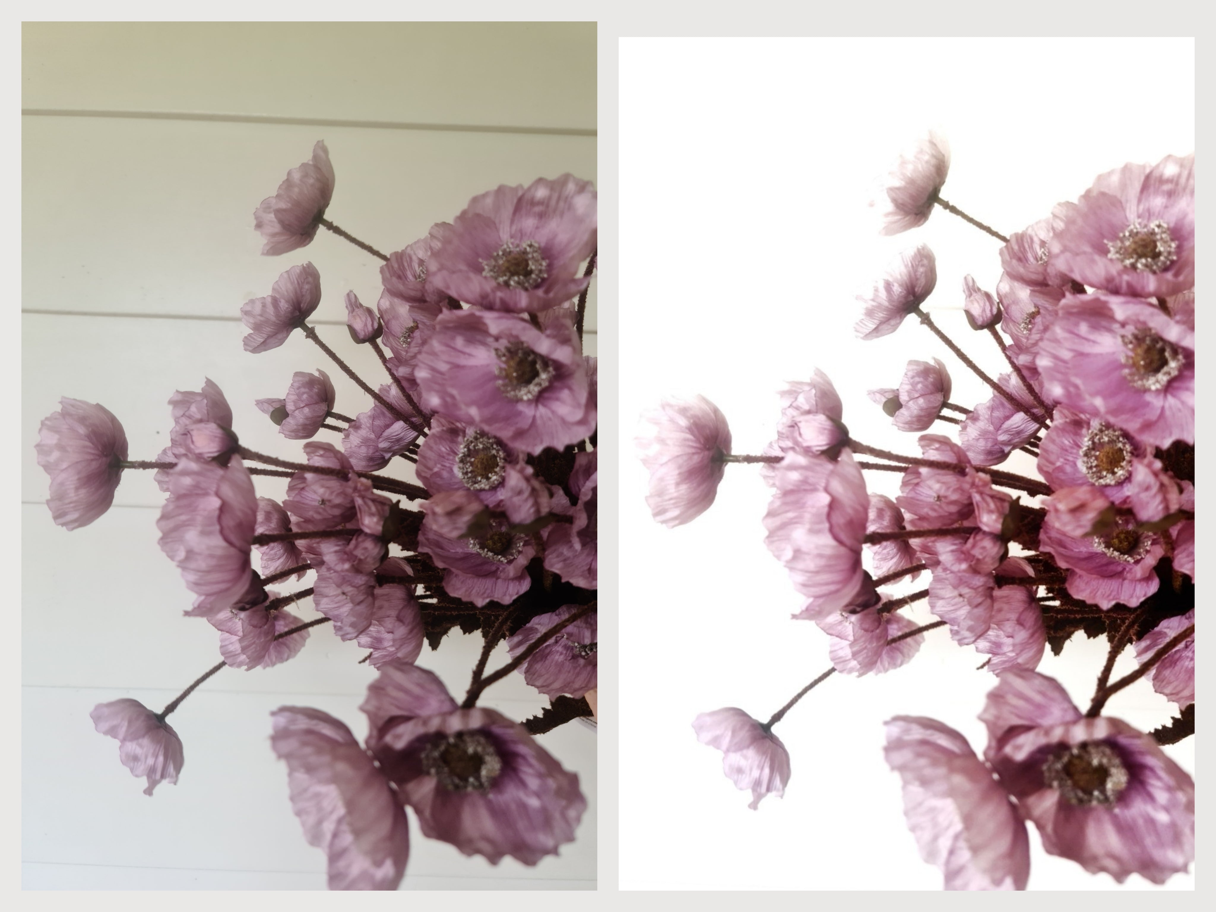 Before and After (Lilac Poppies)