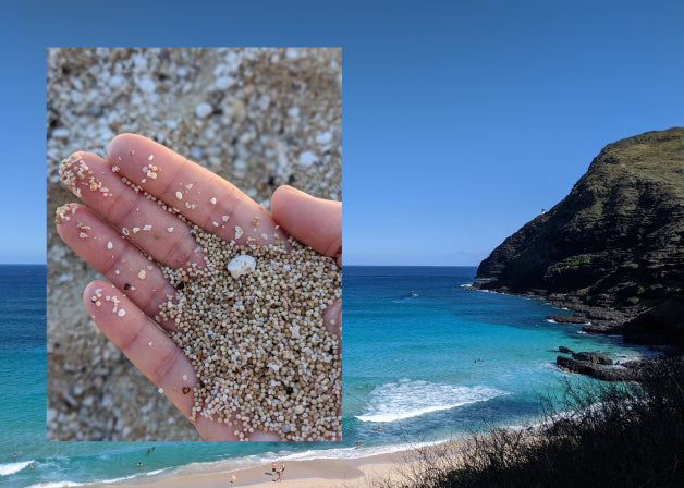 A photo of sand grains in a hand with a photo of a blue Hawaiian coastline. Photos by Lindsay Windham