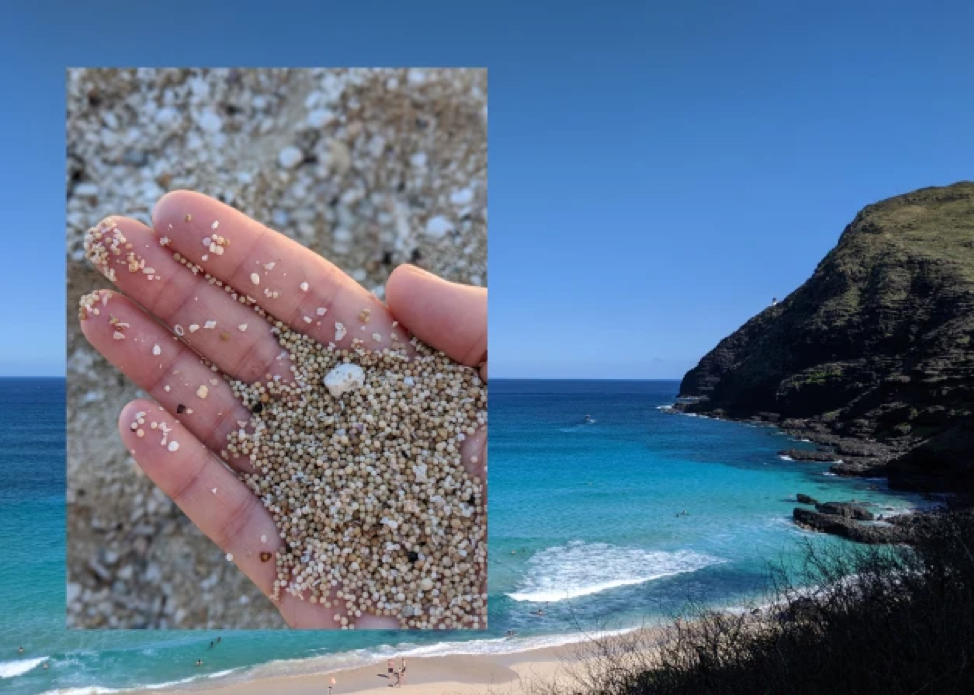 hand with sand overlay on image of cliffs and beach