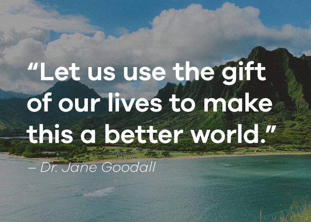 Let us use the gift of our lives to make this a better world. -Dr. Jane Goodall quote on a photo of mountains and ocean in Hawaii