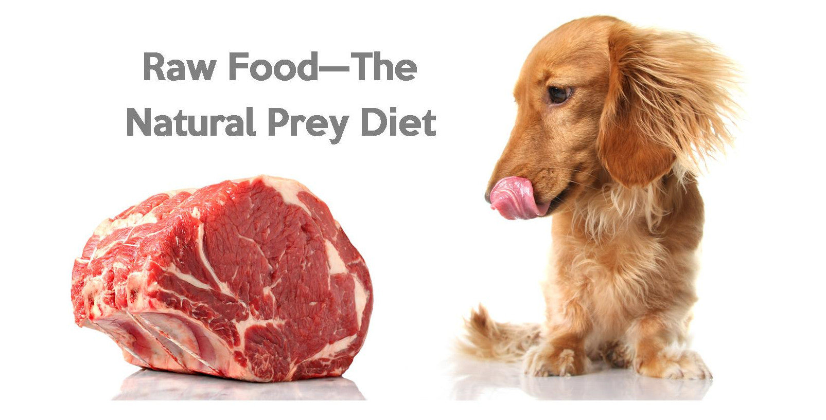 raw food diet for dogs delivery