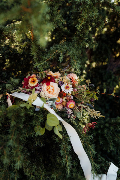 Wedding bouquet in an evergreen tree for this Mt. Baker elopement
