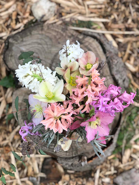 Hellebores and hyacinth are some of my first spring flowers.