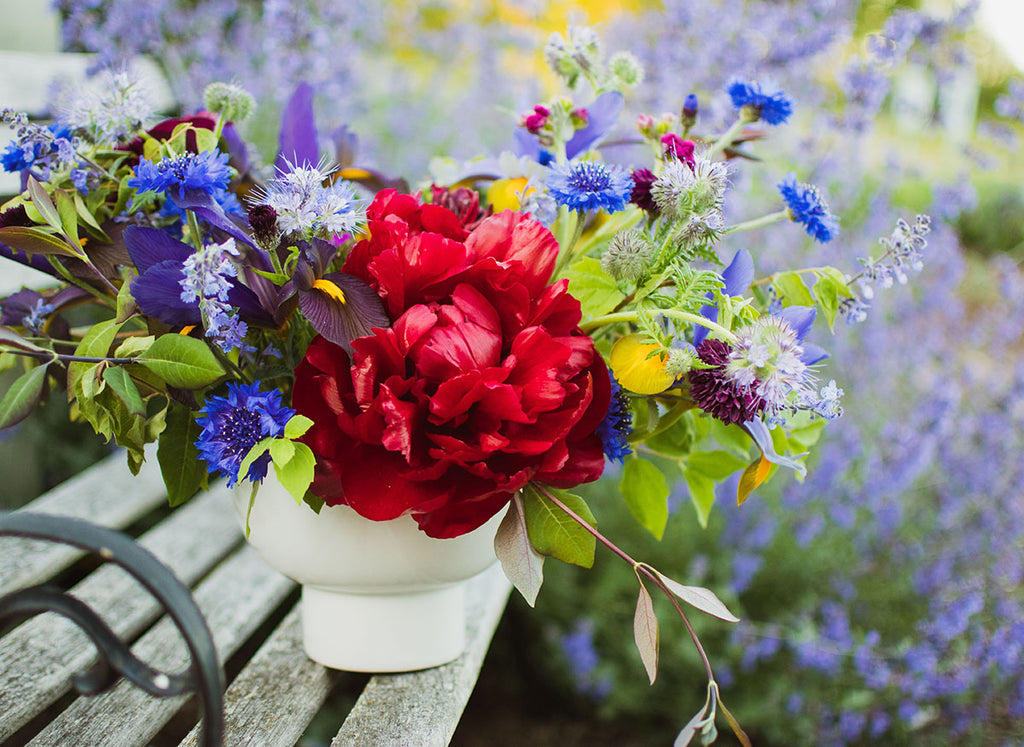 Late May arrangement on a park bench with blue and red flowers.