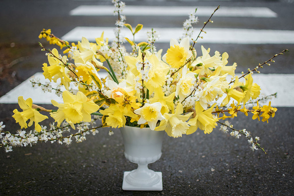 An arrangement that celebrates the arrival of Spring with daffodils and flowering branches.