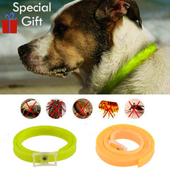 Tick Tweezers: Best Tick Remover For Dogs | Free Shipping 1