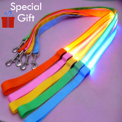 Keep them Visible with the Solar Chargeable LED Collar 1