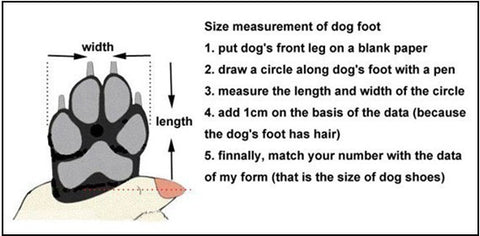 Amazing lightweight Breathable German Shepherd Dog Shoes 2