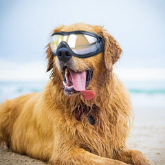 Stylish Waterproof Dog Goggles | Best Gadgets for Dog Lovers 2