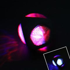 Durable Luminous Dog Ball Training Toy with Sound and Light | Amazing for your pooch 2
