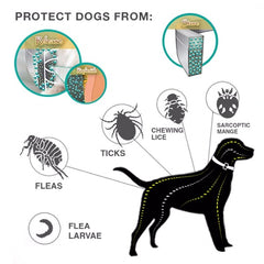 Shield Pet Pro Collar | Kill Ticks and Fleas 1