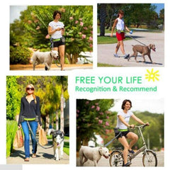 Reflective Hands-Free Dog Leash | Enjoy All Outdoor Activities with Your Dog! 2