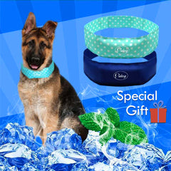 The Best Cooling Gel Pad for Pets | Summer Cool Mats | Free Shipping 1