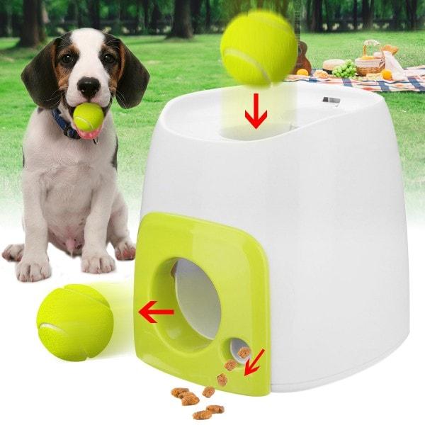 throw and fetch dog toys