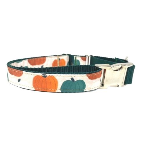 puppy collar cool collar Pineapple dog collar fruit print fun dog collar