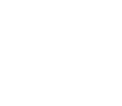 Promotes Healthy Detoxification