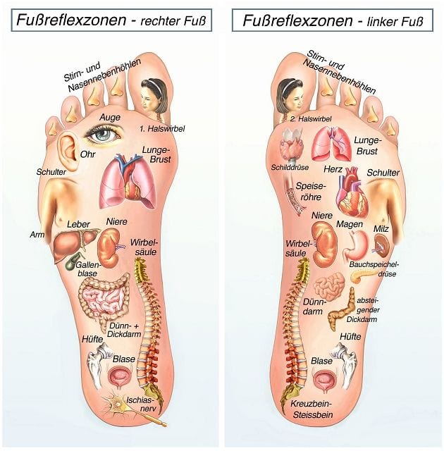 Stimulation of the foot reflex zones can be used to treat a wide variety of areas of the body.