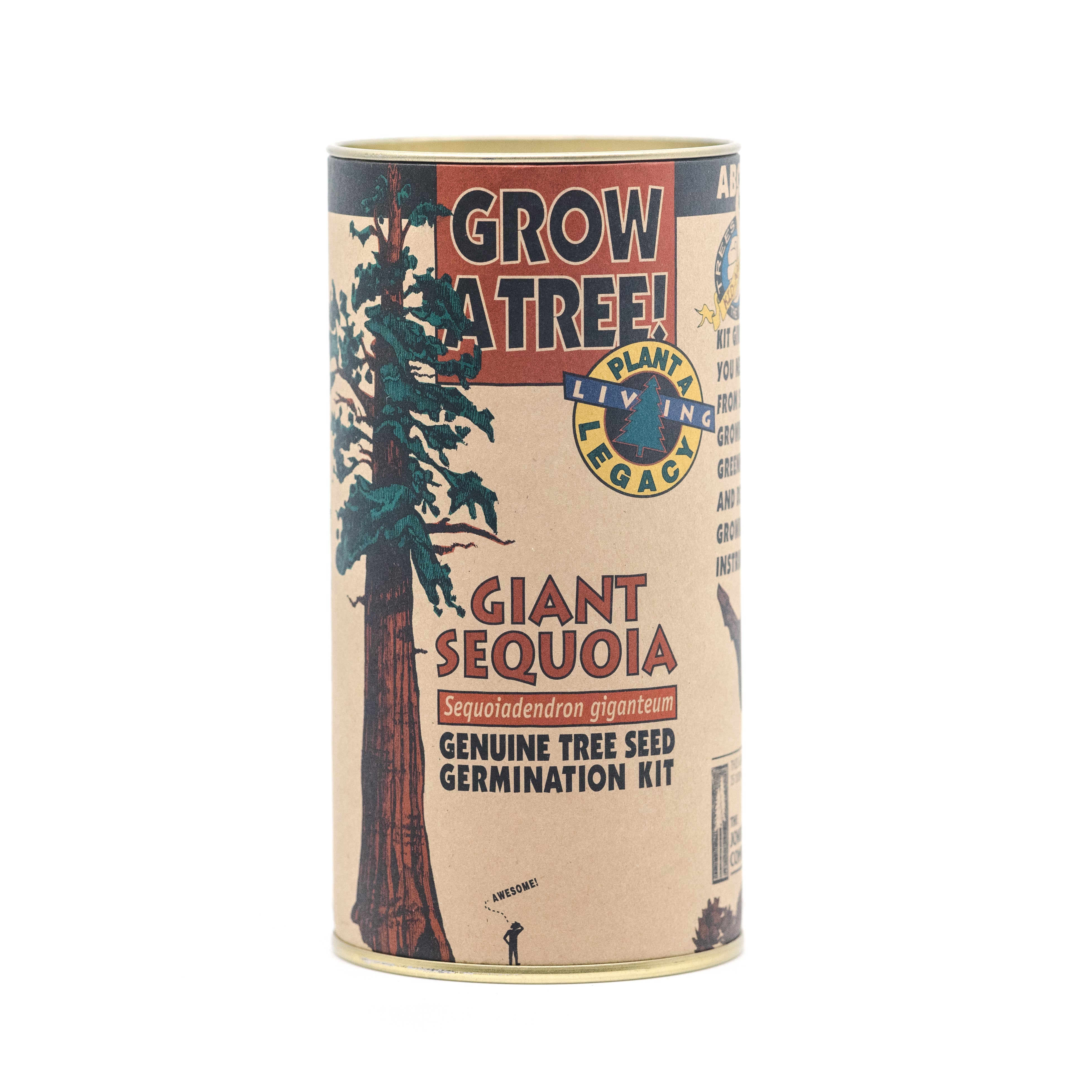 Giant Sequoia | Seed Grow Kit | The Jonsteen Company