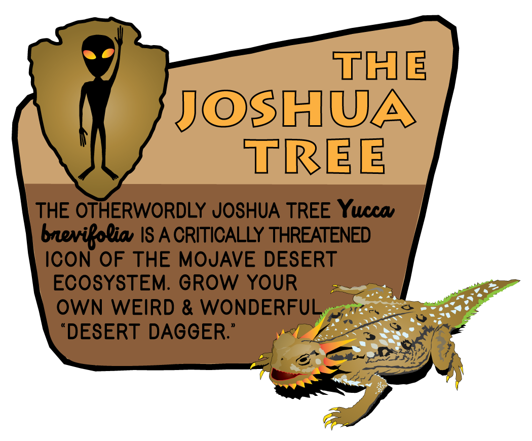 Joshua Tree Lizard & Sign | The Jonsteen Company