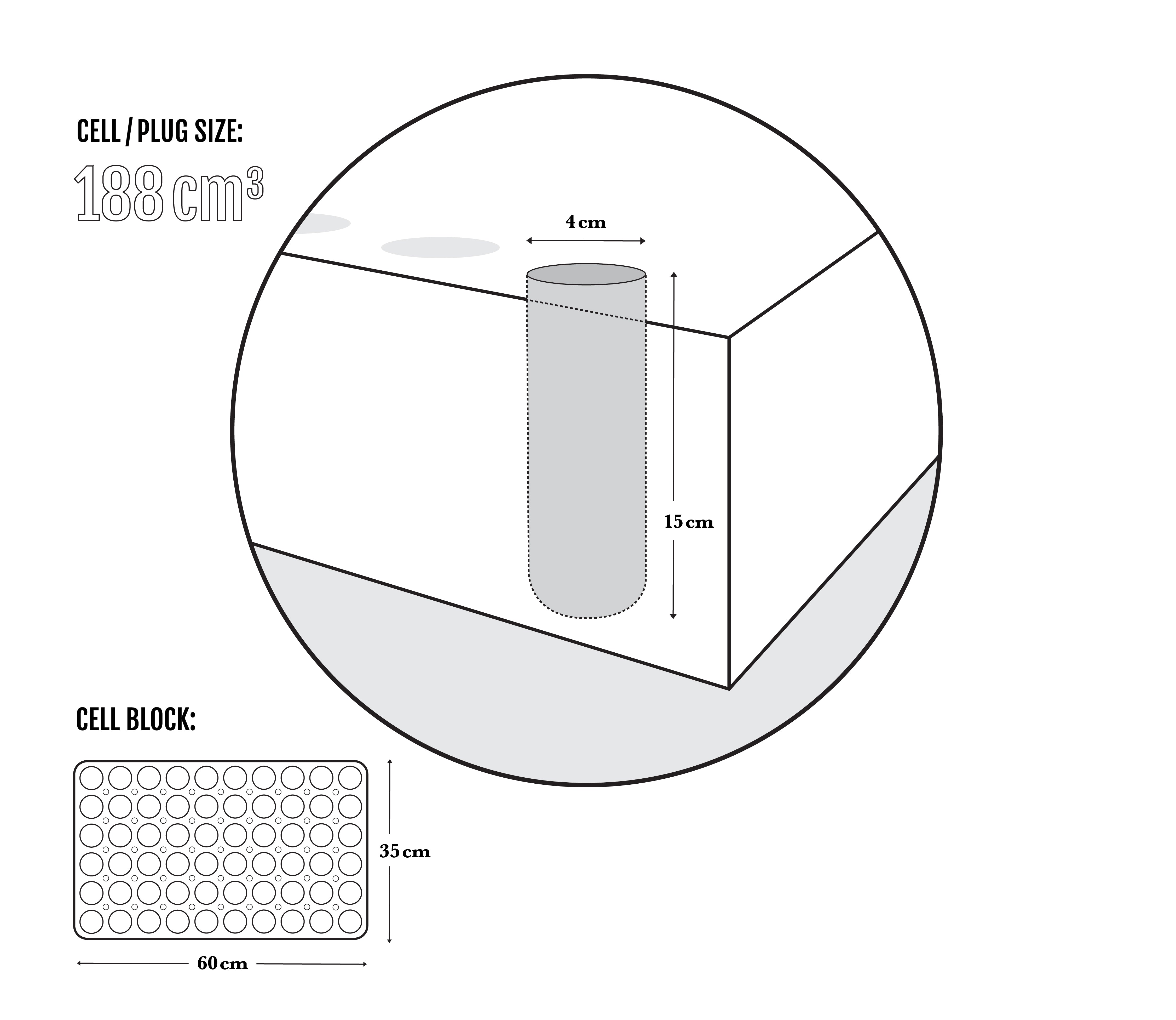 Seedling Size Chart | Medium | The Jonsteen Company