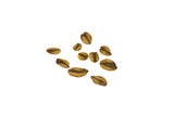 High Germination Seed | The Jonsteen Company