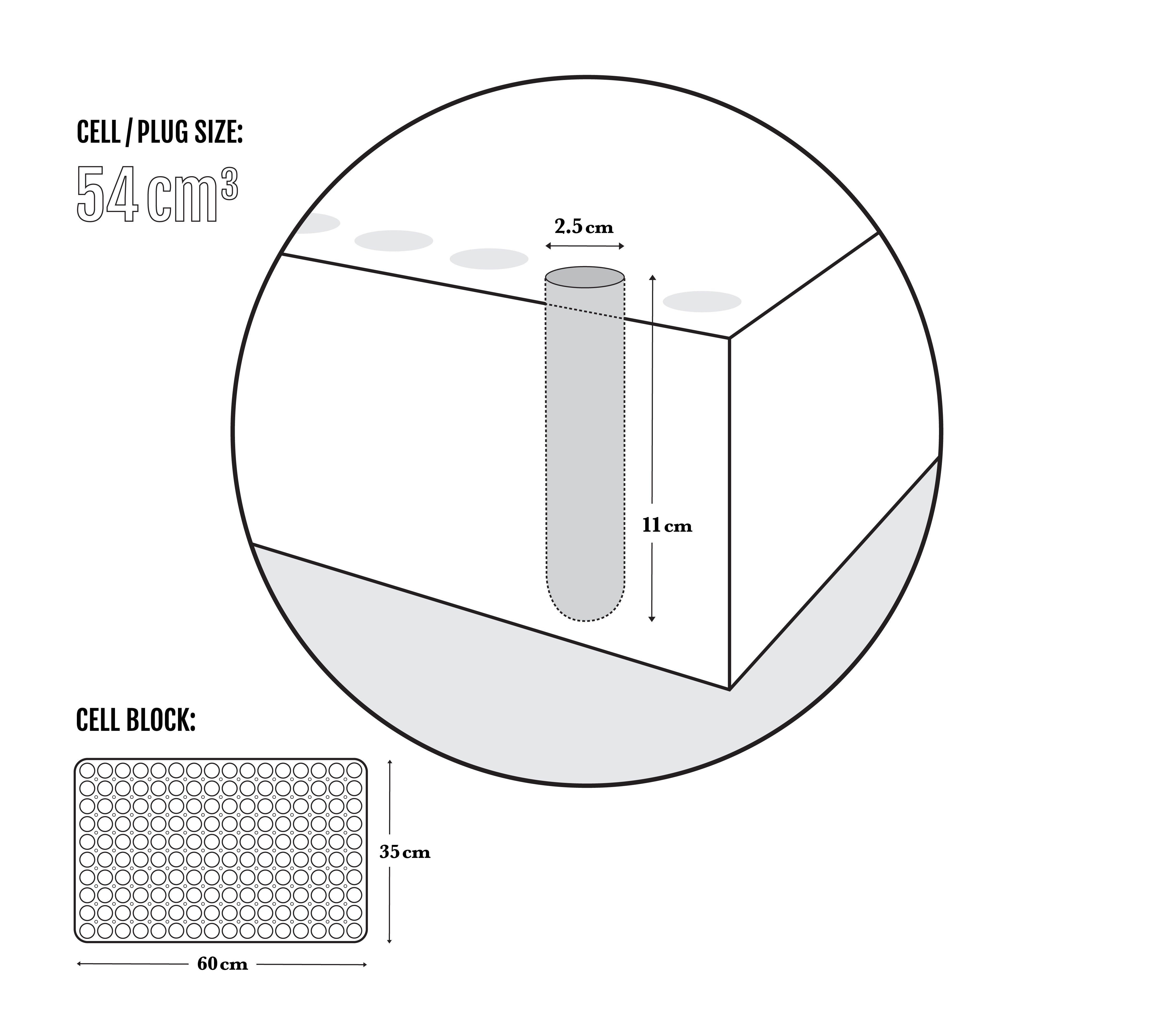 Seedling Size Chart | Small | The Jonsteen Company