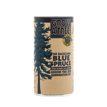 Load image into Gallery viewer, Colorado Blue Spruce | Seed Grow Kit | The Jonsteen Company