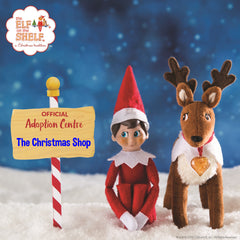 One of Santa's Scout Elves, with his Reindeer friend sits next to a sign that reads "The Christmas Shop, An Official Adoption Centre"