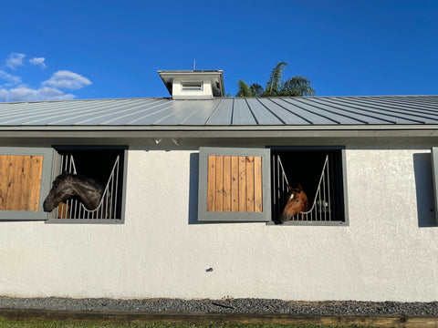 Outside view of a barn with horses' heads looking out the stalls in the sun.